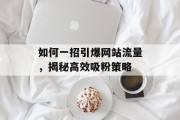 如何一招引爆网站流量,揭秘高效吸粉策略 如何一招引爆网站流量,揭秘高效吸粉策略