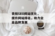 贵阳SEO网站优化，提升网站排名，助力企业品牌发展