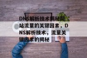 DNS解析技术揭秘网站流量的关键因素,DNS解析技术,流量关键因素的揭秘 DNS解析技术揭秘网站流量的关键因素,DNS解析技术,流量关键因素的揭秘