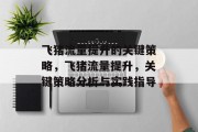 飞猪流量提升的关键策略，飞猪流量提升，关键策略分析与实践指导