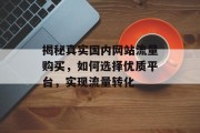揭秘真实国内网站流量购买，如何选择优质平台，实现流量转化