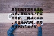 三国战纪手游天王通关攻略，策略与技巧的完美结合，三国战纪手游，天王通关攻略，策略与技巧的完美结合