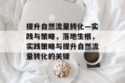 提升自然流量转化—实践与策略,落地生根,实践策略与提升自然流量转化的关键 提升自然流量转化—实践与策略,落地生根,实践策略与提升自然流量转化的关键