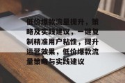 低价爆款流量提升，策略及实践建议，一键复制精准用户粘性，提升运营效果，低价爆款流量策略与实践建议