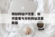 揭秘网站IP流量,如何查看与分析网站流量数据 揭秘网站IP流量,如何查看与分析网站流量数据