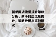 新手网店流量提升策略分析,新手网店流量提升,策略分析与实践建议 新手网店流量提升策略分析,新手网店流量提升,策略分析与实践建议
