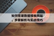 如何搭建数据模板网站，步骤解析与实战技巧