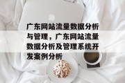 广东网站流量数据分析与管理,广东网站流量数据分析及管理系统开发案例分析 广东网站流量数据分析与管理,广东网站流量数据分析及管理系统开发案例分析