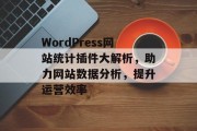 WordPress网站统计插件大解析,助力网站数据分析,提升运营效率 WordPress网站统计插件大解析,助力网站数据分析,提升运营效率