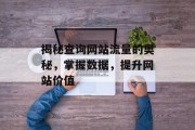 揭秘查询网站流量的奥秘,掌握数据,提升网站价值 揭秘查询网站流量的奥秘,掌握数据,提升网站价值