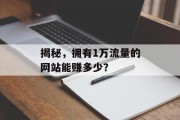揭秘，拥有1万流量的网站能赚多少？