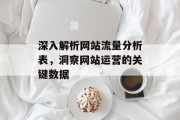 深入解析网站流量分析表，洞察网站运营的关键数据