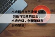 小店提升自然流量方案 创新与实践的结合,小店升级,创新策略与实践融合 小店提升自然流量方案 创新与实践的结合,小店升级,创新策略与实践融合