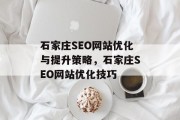 石家庄SEO网站优化与提升策略，石家庄SEO网站优化技巧