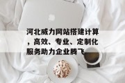 河北威力网站搭建计算，高效、专业、定制化服务助力企业腾飞