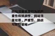 网站流量恶意行为的严重性和挑战性,网站流量犯罪,严重性、挑战与应对策略 网站流量恶意行为的严重性和挑战性,网站流量犯罪,严重性、挑战与应对策略
