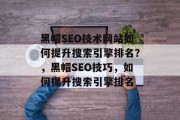 黑帽SEO技术网站如何提升搜索引擎排名?,黑帽SEO技巧,如何提升搜索引擎排名 黑帽SEO技术网站如何提升搜索引擎排名?,黑帽SEO技巧,如何提升搜索引擎排名