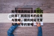 如何提高网站流量和转化率？网络技术的应用与策略，提升网站流量与转化率的策略