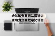哈尔滨专业网站搭建企业助力企业数字化转型 哈尔滨专业网站搭建企业助力企业数字化转型
