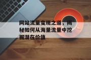 网站流量变现之道,揭秘如何从海量流量中挖掘潜在价值 网站流量变现之道,揭秘如何从海量流量中挖掘潜在价值
