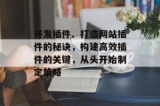 开发插件、打造网站插件的秘诀,构建高效插件的关键,从头开始制定策略 开发插件、打造网站插件的秘诀,构建高效插件的关键,从头开始制定策略