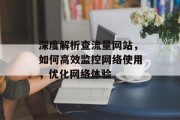 深度解析查流量网站，如何高效监控网络使用，优化网络体验
