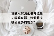 猫眼电影怎么提升流量,猫眼电影,如何通过吸引更多的观众? 猫眼电影怎么提升流量,猫眼电影,如何通过吸引更多的观众?