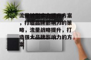 流量转型实力提升方案，打造品牌影响力的策略，流量战略提升，打造强大品牌影响力的方案
