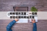 盼盼提升流量,一招教你轻松提升网站流量 盼盼提升流量,一招教你轻松提升网站流量