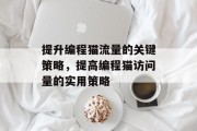 提升编程猫流量的关键策略,提高编程猫访问量的实用策略 提升编程猫流量的关键策略,提高编程猫访问量的实用策略
