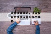 流量便宜网站,低成本获取优质流量的秘密武器 流量便宜网站,低成本获取优质流量的秘密武器