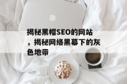 揭秘黑帽SEO的网站,揭秘网络黑幕下的灰色地带 揭秘黑帽SEO的网站,揭秘网络黑幕下的灰色地带