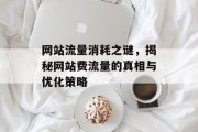 网站流量消耗之谜,揭秘网站费流量的真相与优化策略 网站流量消耗之谜,揭秘网站费流量的真相与优化策略