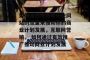 如何高效地利用创业网站的流量来推动你的商业计划发展,互联网营销, 如何通过有效推广推动商业计划发展 如何高效地利用创业网站的流量来推动你的商业计划发展,互联网营销, 如何通过有效推广推动商业计划发展