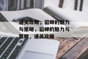 通关攻略,貂蝉的魅力与策略,貂蝉的魅力与策略,通关攻略 通关攻略,貂蝉的魅力与策略,貂蝉的魅力与策略,通关攻略