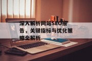 深入解析网站SEO报告,关键指标与优化策略全解析 深入解析网站SEO报告,关键指标与优化策略全解析