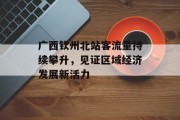广西钦州北站客流量持续攀升，见证区域经济发展新活力