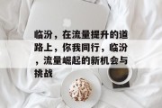 临汾，在流量提升的道路上，你我同行，临汾，流量崛起的新机会与挑战