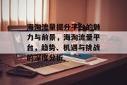 海淘流量提升平台的魅力与前景，海淘流量平台，趋势、机遇与挑战的深度分析