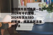 如何提升自然流量—在2024年中的策略，2024年优化SEO的策略，提高自然流量的方法