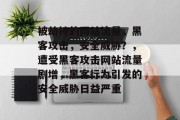 被劫持的网站流量,黑客攻击,安全威胁?,遭受黑客攻击网站流量剧增,黑客行为引发的安全威胁日益严重 被劫持的网站流量,黑客攻击,安全威胁?,遭受黑客攻击网站流量剧增,黑客行为引发的安全威胁日益严重
