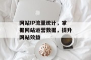 网站IP流量统计，掌握网站运营数据，提升网站效益