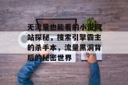 无流量也能看的小说网站探秘,搜索引擎霸主的杀手本,流量黑洞背后的秘密世界 无流量也能看的小说网站探秘,搜索引擎霸主的杀手本,流量黑洞背后的秘密世界