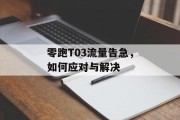 零跑T03流量告急,如何应对与解决 零跑T03流量告急,如何应对与解决