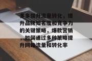 多多提升流量转化，提升品牌知名度和竞争力的关键策略，爆款营销，如何通过多种策略提升网站流量和转化率