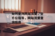 如何查询网站流量,全方位指导,网站流量查询指南 如何查询网站流量,全方位指导,网站流量查询指南