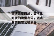 酒店流量网站,数字化时代的流量密码,酒店业的精准营销利器 酒店流量网站,数字化时代的流量密码,酒店业的精准营销利器