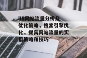 iIS网站流量分析及优化策略，搜索引擎优化，提高网站流量的实用策略和技巧