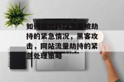 如何应对网站流量被劫持的紧急情况,黑客攻击,网站流量劫持的紧急处理策略 如何应对网站流量被劫持的紧急情况,黑客攻击,网站流量劫持的紧急处理策略
