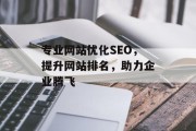 专业网站优化SEO,提升网站排名,助力企业腾飞 专业网站优化SEO,提升网站排名,助力企业腾飞